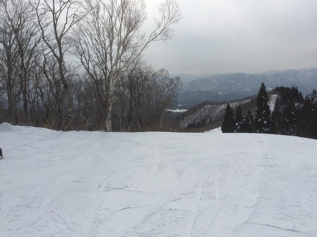 山頂からの景色